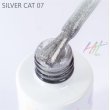 Hit gel, Гель-лак Silver cat, 9мл,№07 - 521863 - скидки в DIAMANT, дешевле только даром