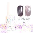 Hit gel, Гель-лак Shiny cat, 9мл,№03 - 528664 - скидки в DIAMANT, дешевле только даром